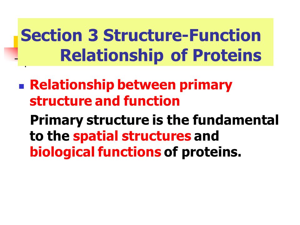 The relationship between the functions of